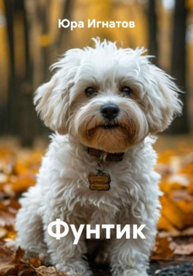 Фунтик