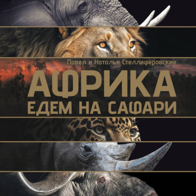 Африка. Едем на сафари