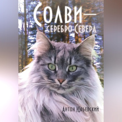 Солви - серебро Севера