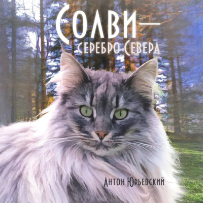 Солви – серебро Севера