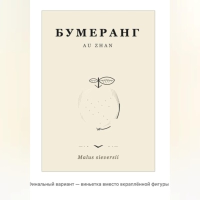Бумеранг