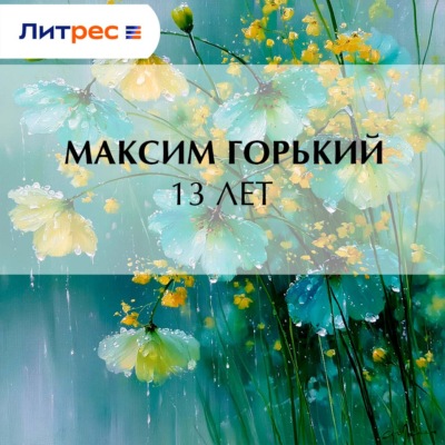 13 лет