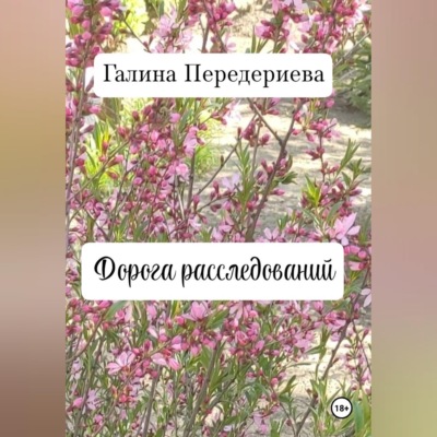 Дорога расследований