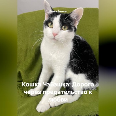 Кошка ЧэБэшка: Дорога через предательство к любви