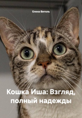 Кошка Иша: Взгляд, полный надежды