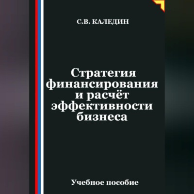 Стратегия финансирования и расчёт эффективности бизнеса