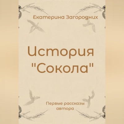 История "Сокола"