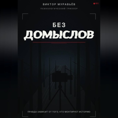 Без домыслов