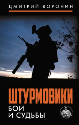 Штурмовики. Бои и судьбы