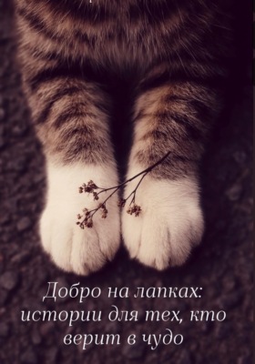 Добро на лапках: истории для тех, кто верит в чудо
