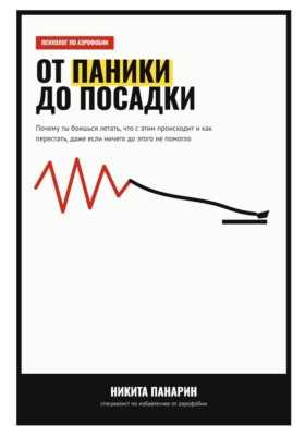 От паники до посадки