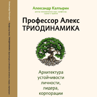 Профессор Алекс. Триодинамика. Архитектура устойчивости личности, лидера и корпорации