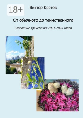 От обычного до таинственного. Свободные трёхстишия 2021—2026 годов