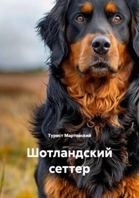 Шотландский сеттер