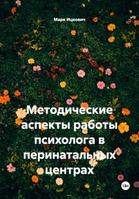 Методические аспекты работы психолога в перинатальных центрах