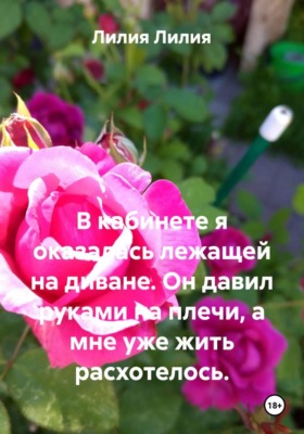 В кабинете я оказалась лежащей на диване. Он давил руками на плечи, а мне уже жить расхотелось