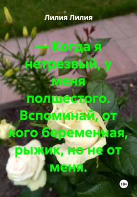 — Когда я нетрезвый, у меня полшестого. Вспоминай, от кого беременная, рыжик, но не от меня