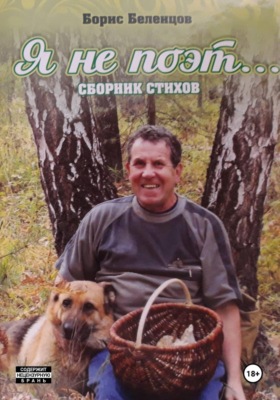 Я не поэт... Сборник стихов
