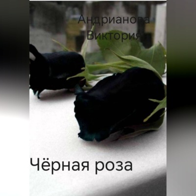 Чёрная роза