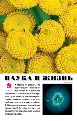 Наука и жизнь №09/2026