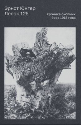 Лесок 125. Хроника окопных боев 1918