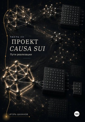 Проект Causa Sui - пути реализации Часть III