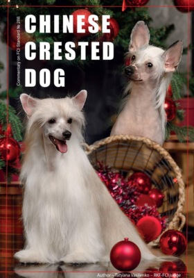 THE EXTERIOR OF THE CHINESE CRESTED DOG AND ITS EVALUATION