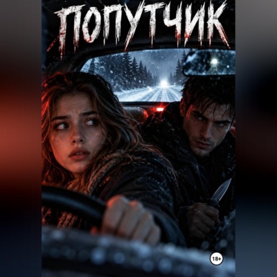 Попутчик