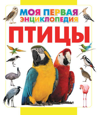 Птицы