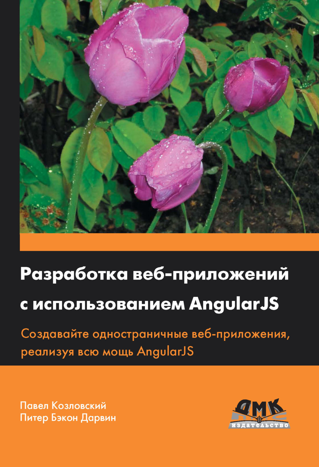Обложка книги «Разработка веб-приложений с использованием AngularJS»
