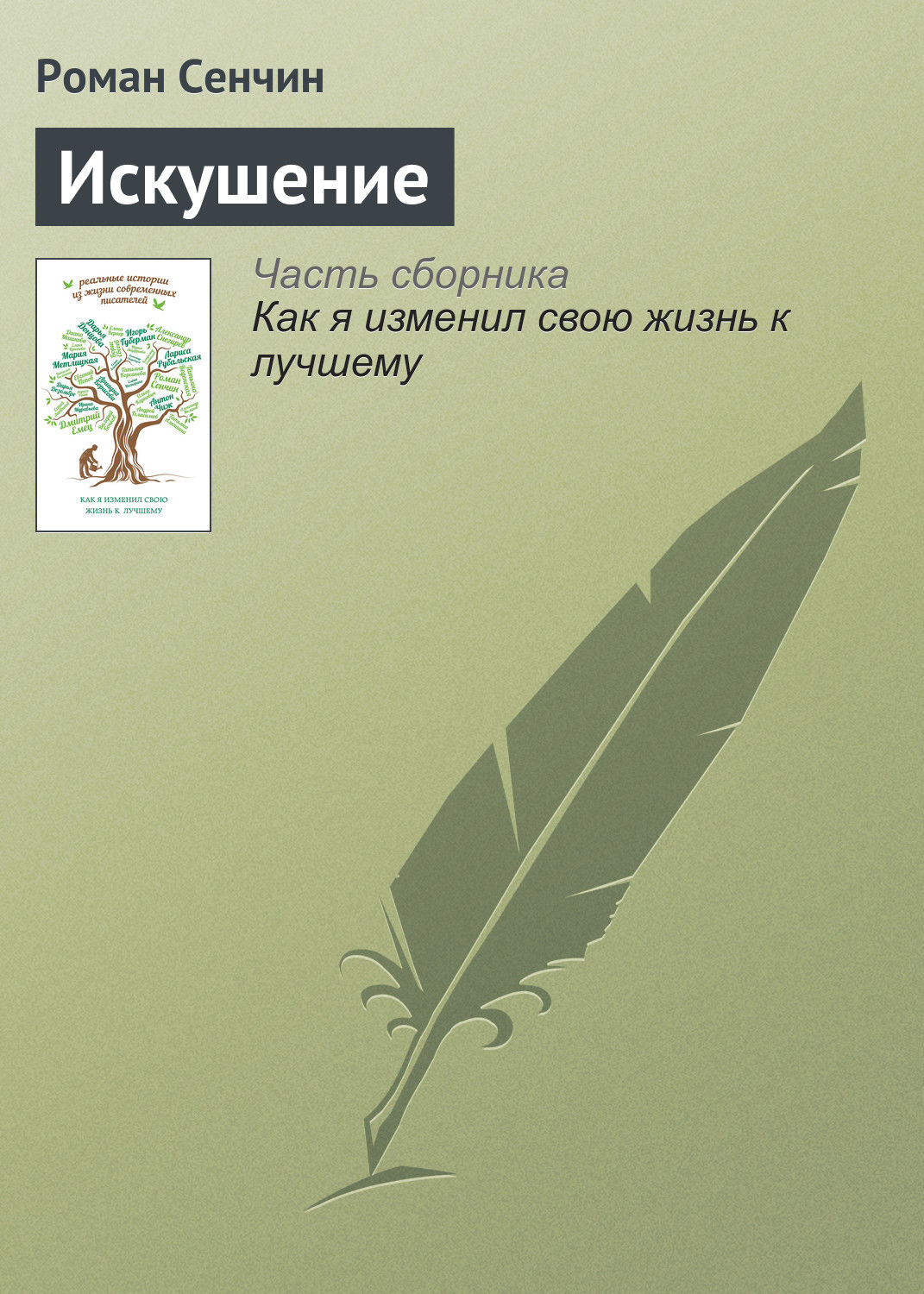 Обложка книги «Искушение»