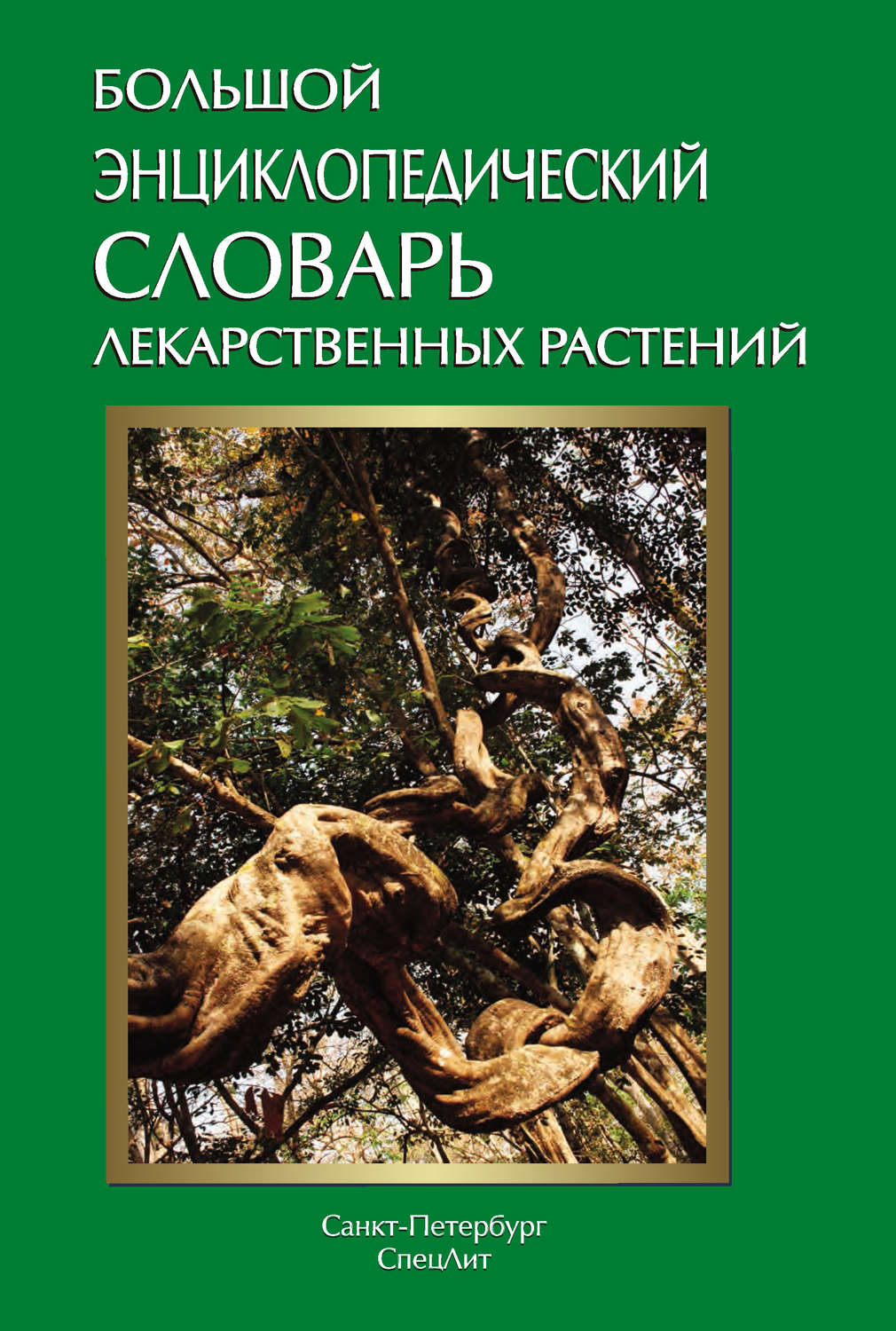 Обложка книги «Большой энциклопедический словарь лекарственных растений»