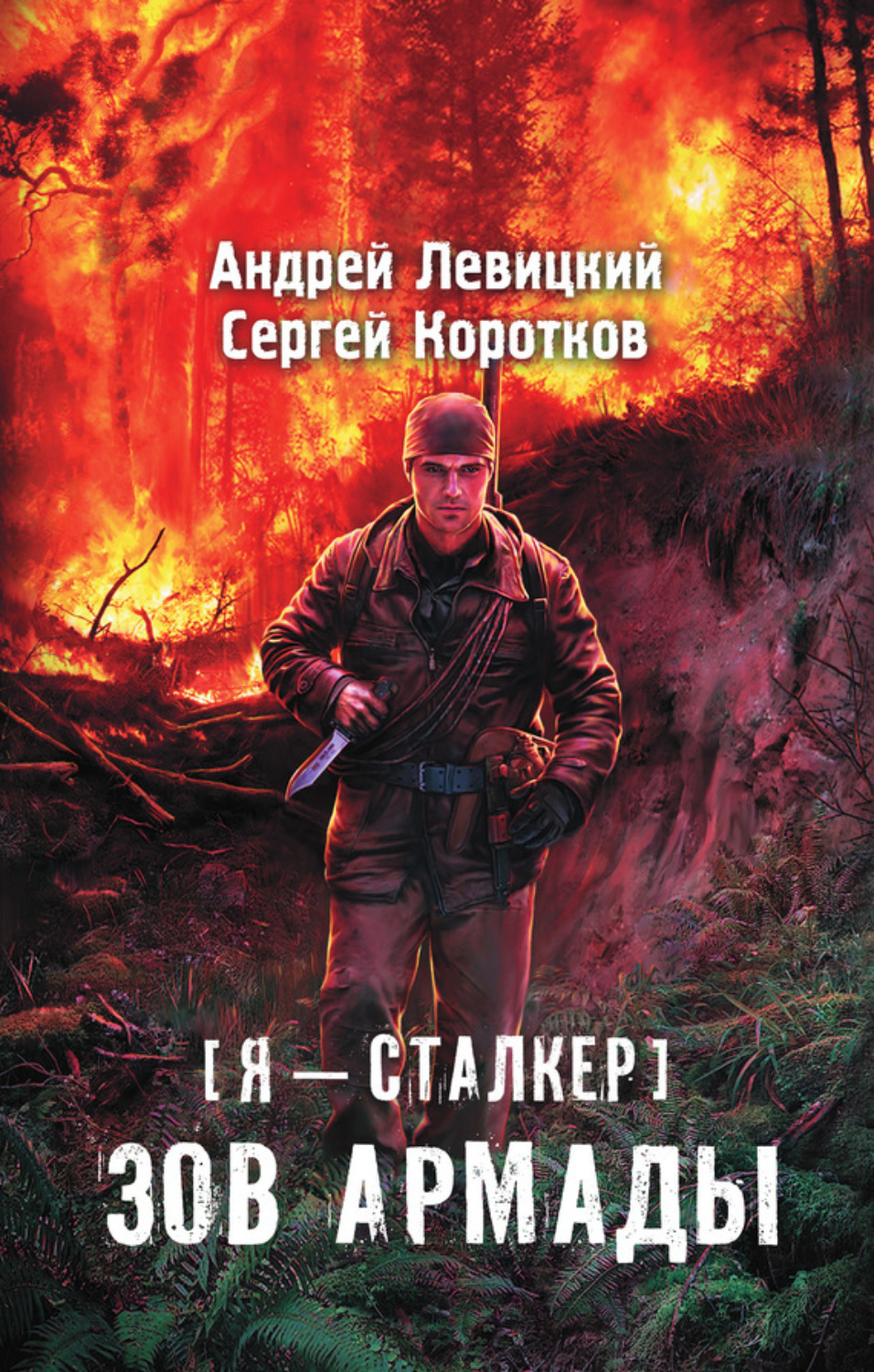 Обложка книги «Зов Армады»