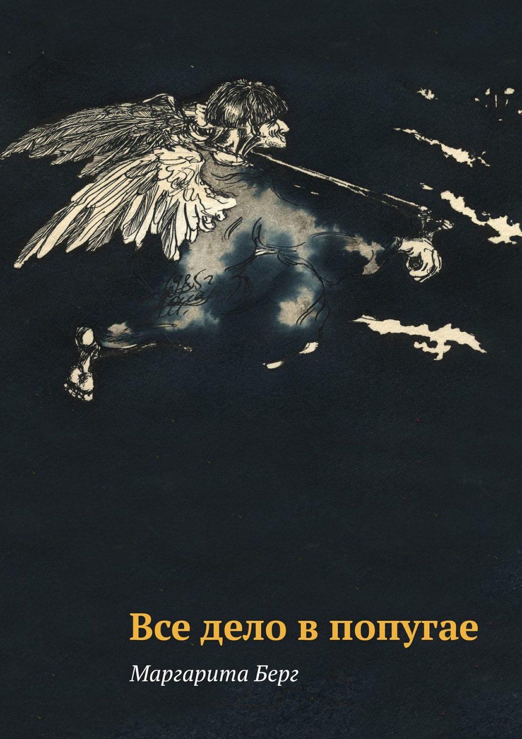 Обложка книги «Все дело в попугае»