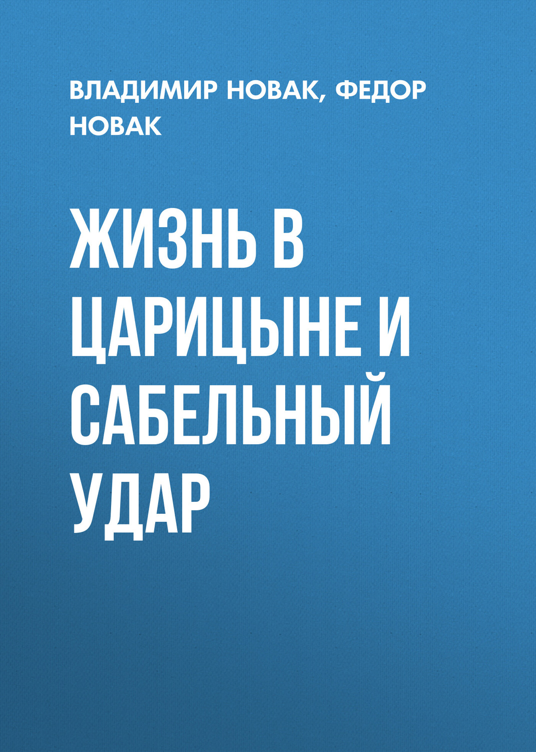 Обложка книги «Жизнь в Царицыне и сабельный удар»
