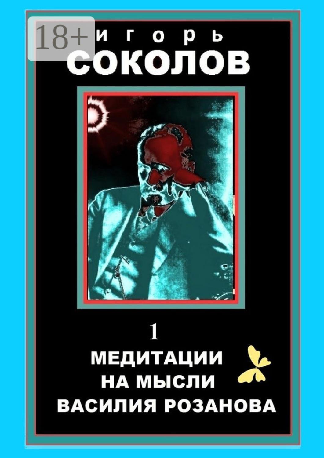 Обложка книги «Медитации на мысли Василия Розанова. Том 1»