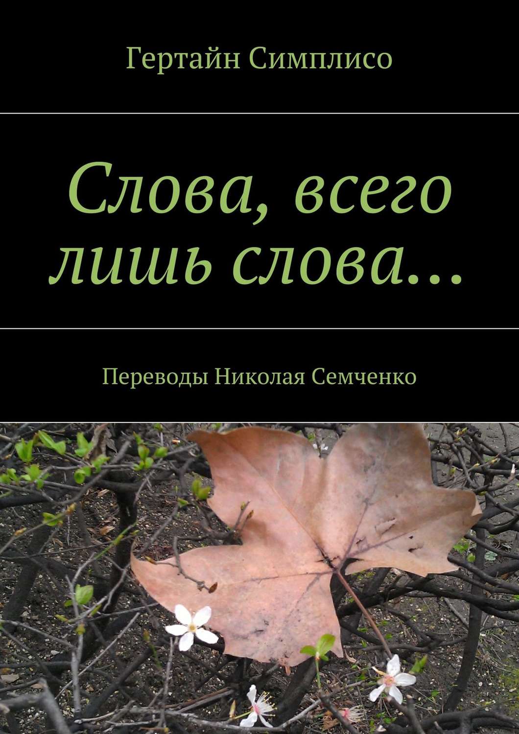 Обложка книги «Слова, всего лишь слова…»