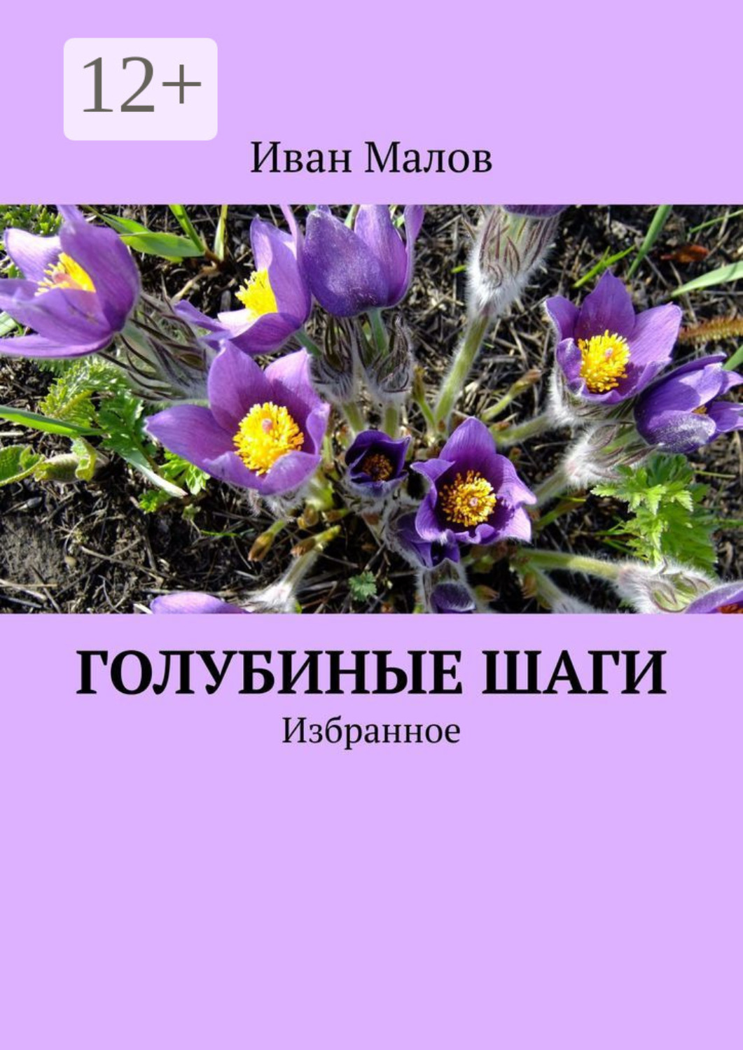 Обложка книги «Голубиные шаги. Избранное»