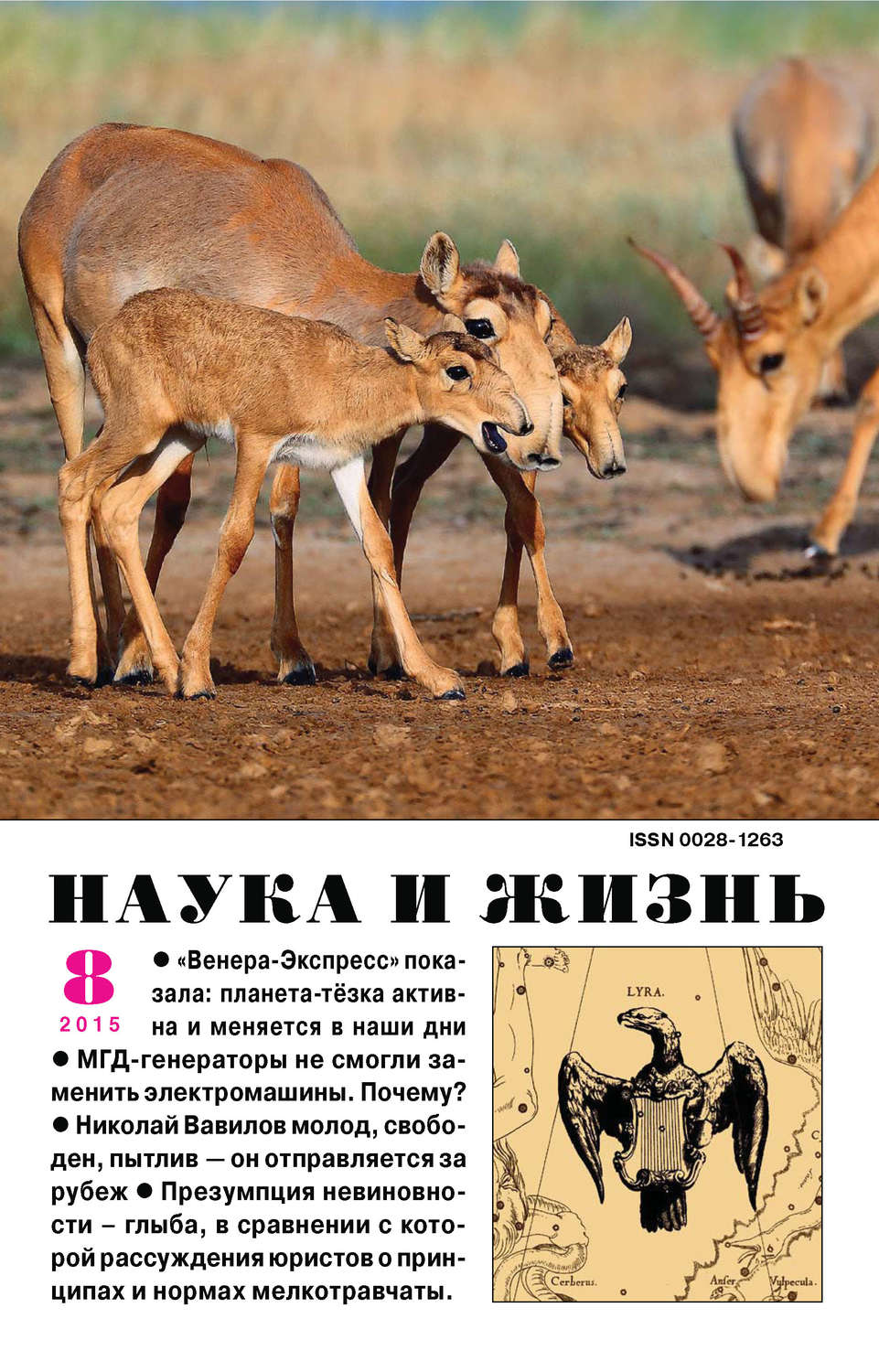 Обложка книги «Наука и жизнь №08/2015»