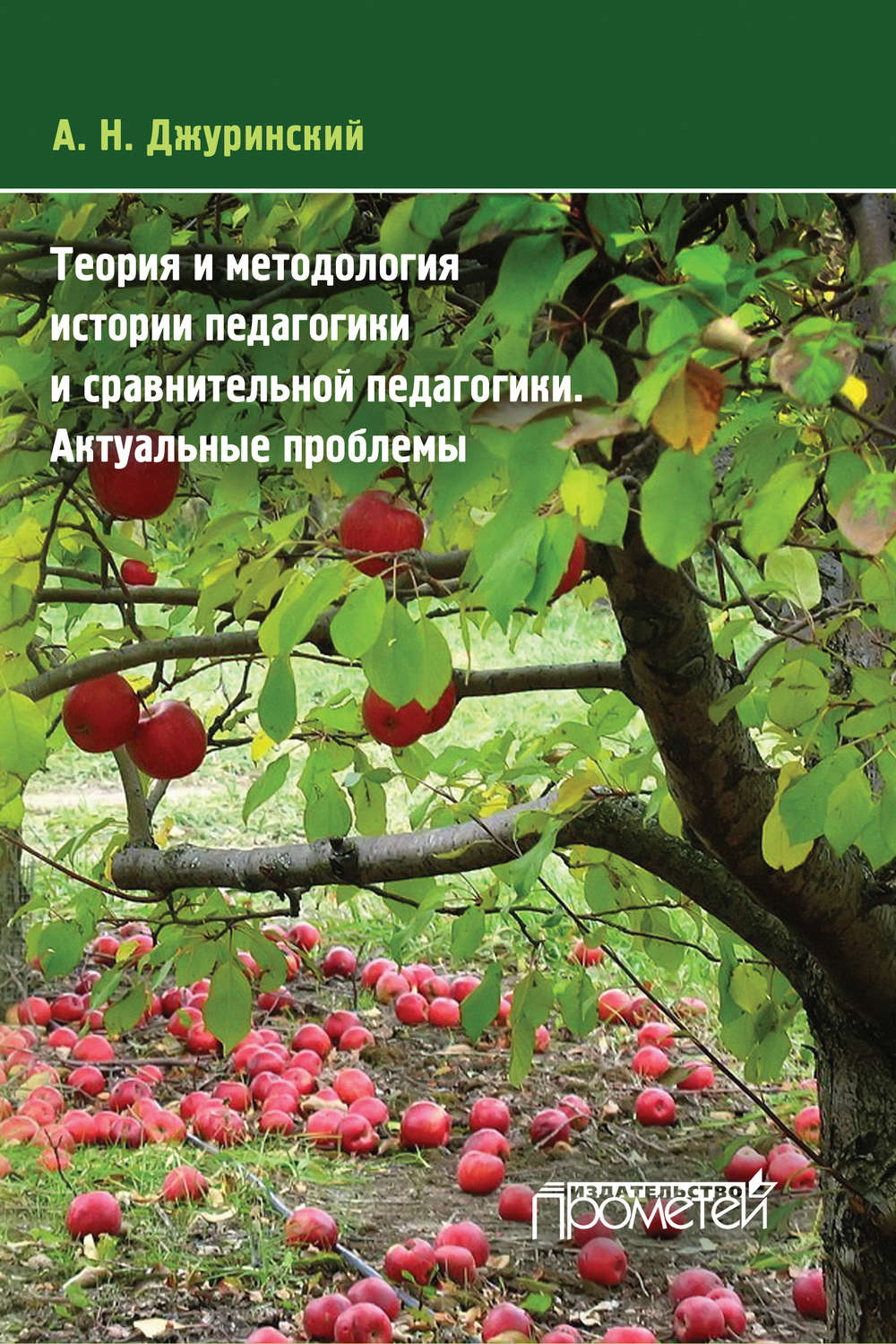 Обложка книги «Теория и методология истории педагогики и сравнительной педагогики. Актуальные проблемы»
