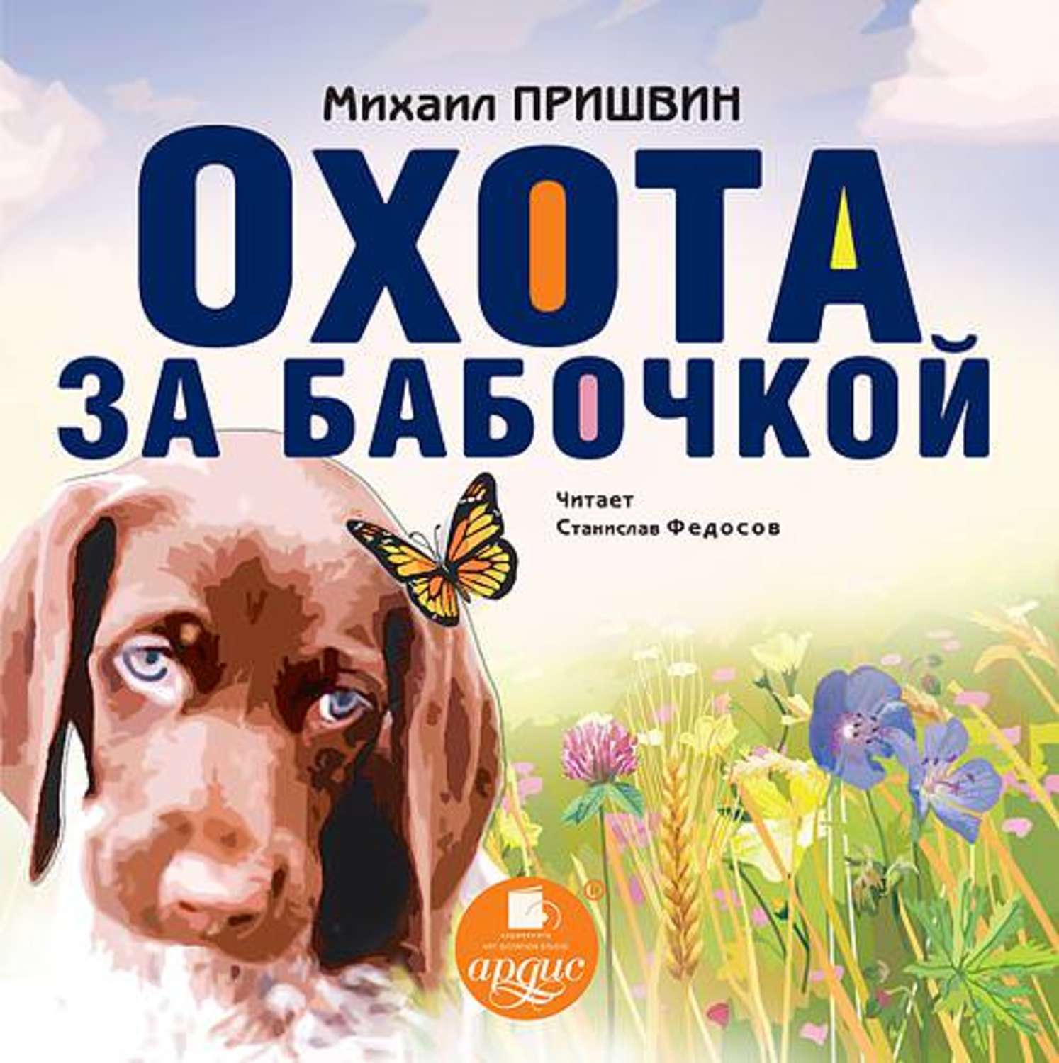 Обложка книги «Охота за бабочкой»