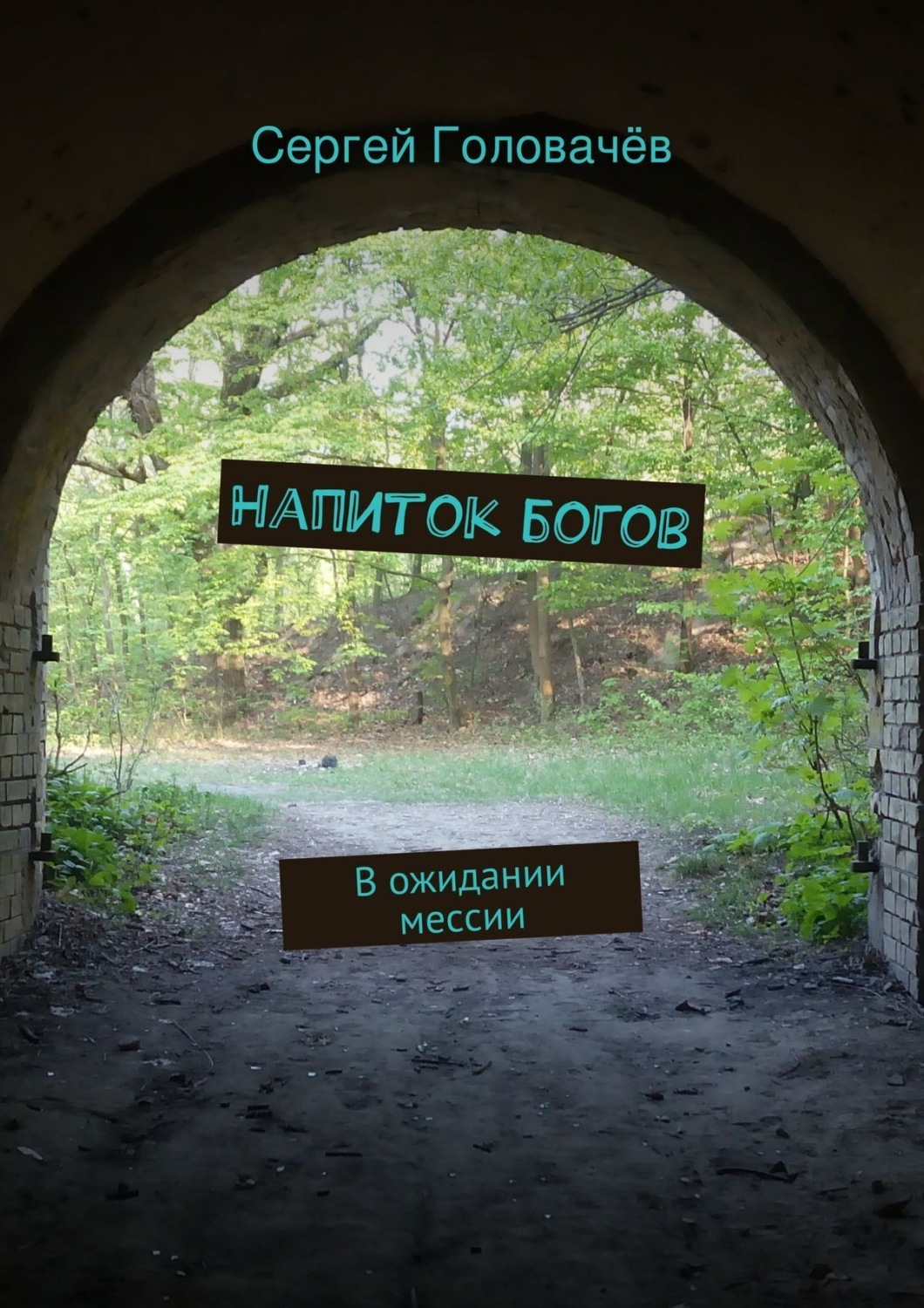 Обложка книги «Напиток богов. В ожидании мессии»