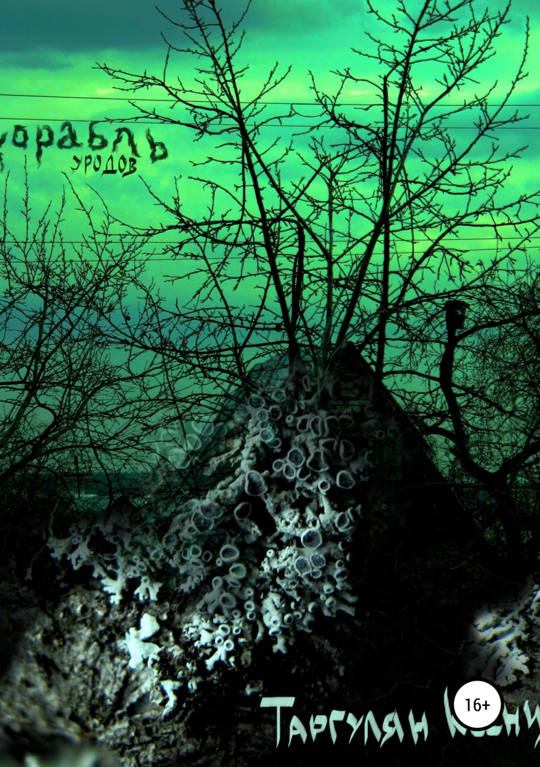 Обложка книги «Корабль уродов»