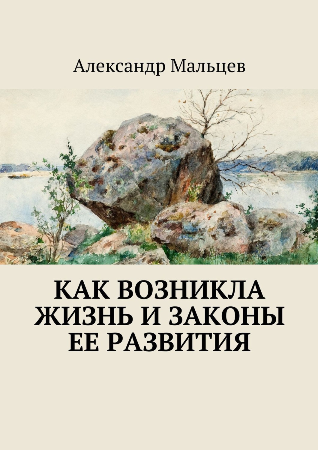Обложка книги «Как возникла жизнь и законы ее развития»