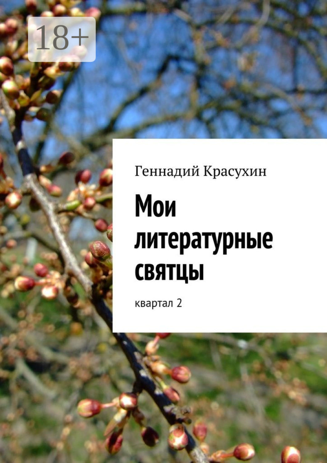 Обложка книги «Мои литературные святцы. квартал 2»