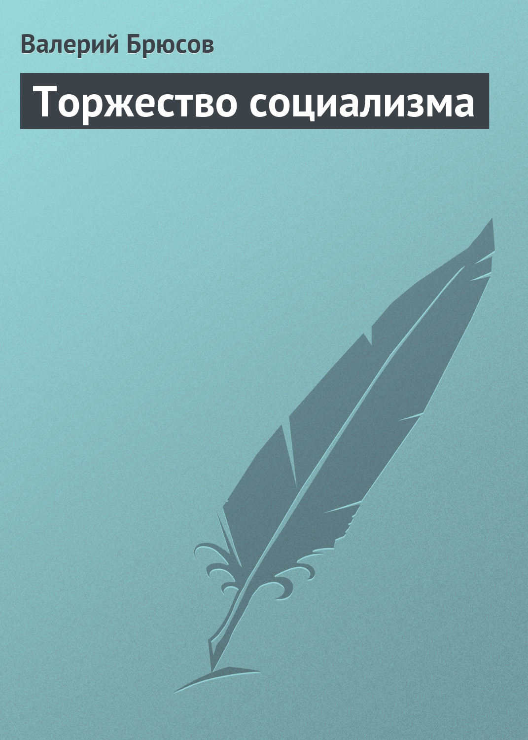 Обложка книги «Торжество социализма»