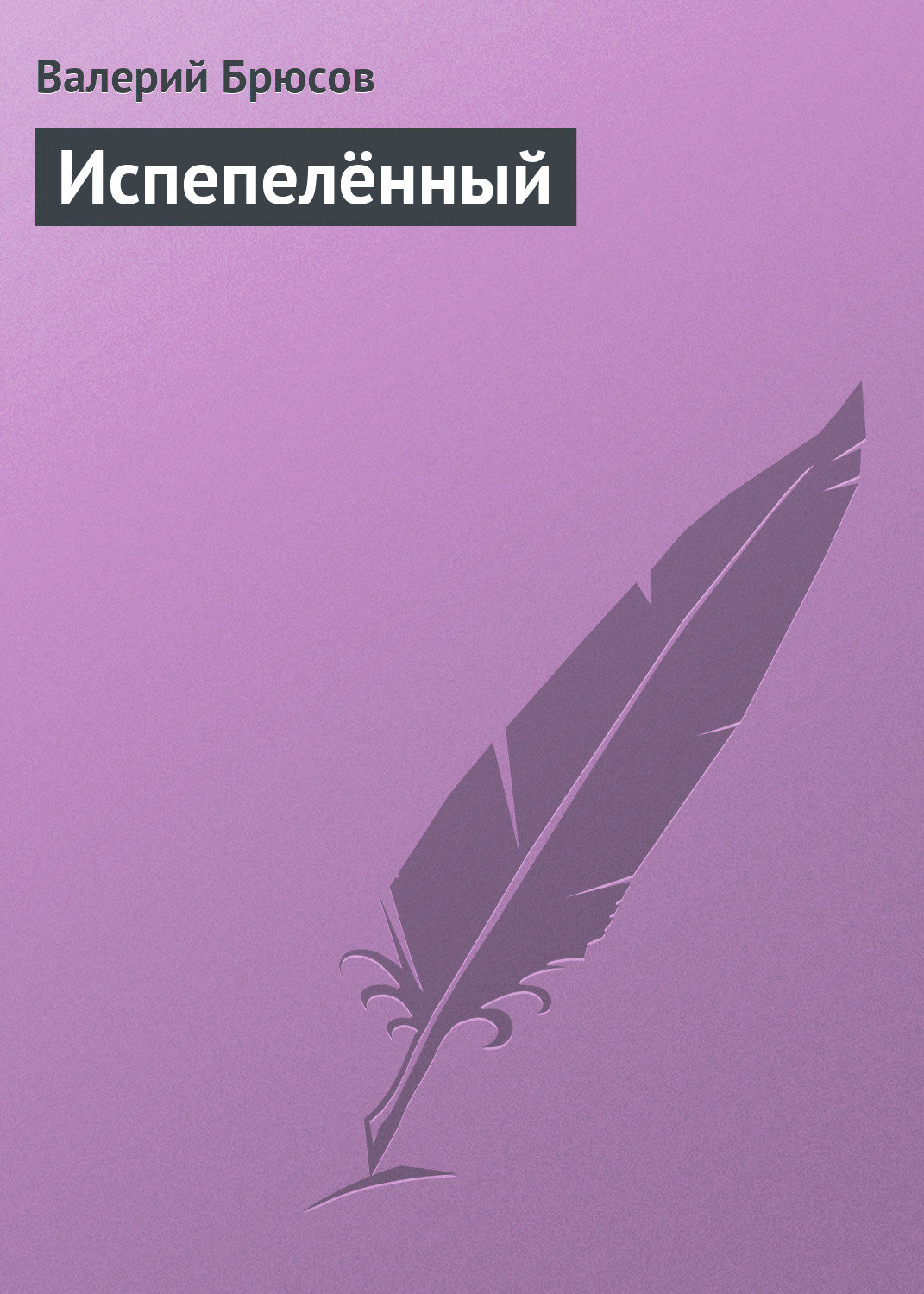 Обложка книги «Испепелённый»