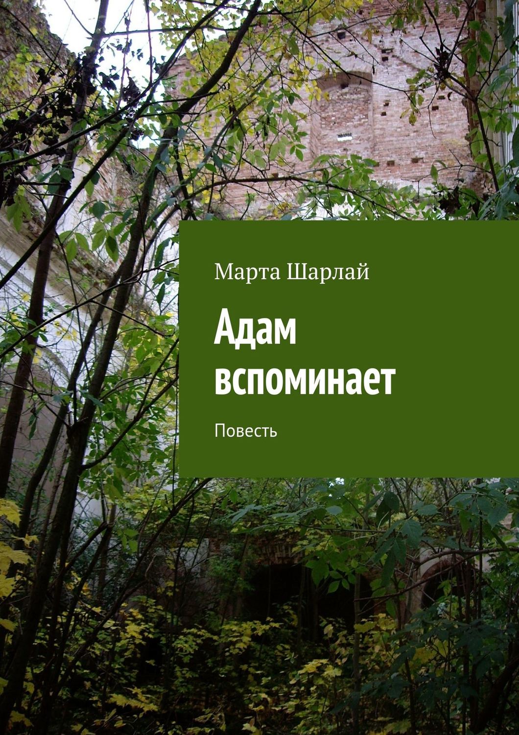 Обложка книги «Адам вспоминает»