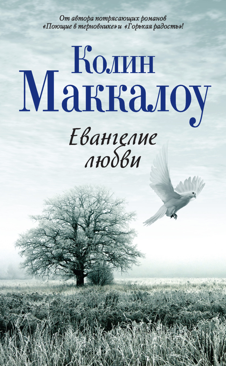 Обложка книги «Евангелие любви»