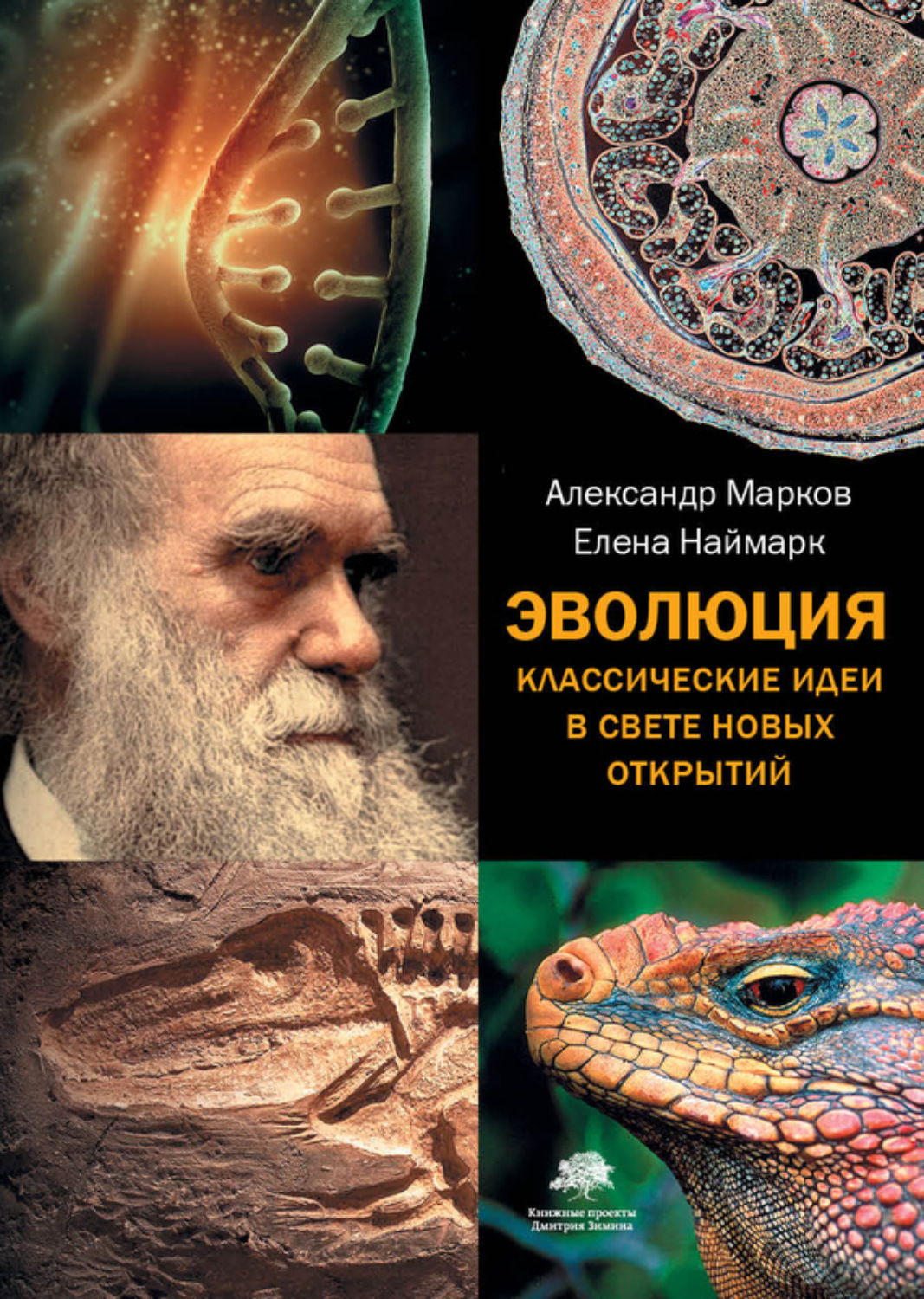 Обложка книги «Эволюция. Классические идеи в свете новых открытий»